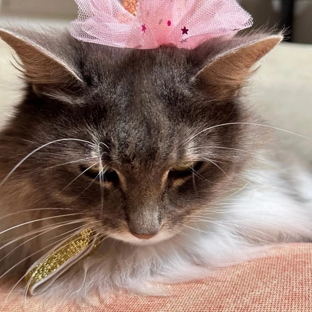 Pink and Gold Cat Party Hat